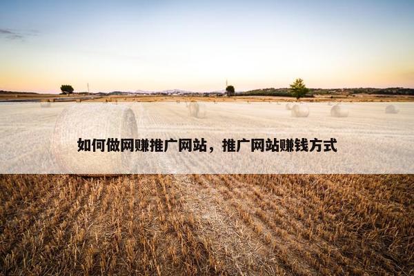 如何做网赚推广网站，推广网站赚钱方式