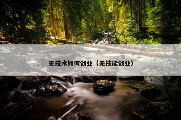 无技术如何创业（无技能创业）
