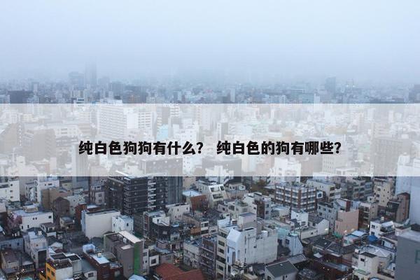 纯白色狗狗有什么? 纯白色的狗有哪些?