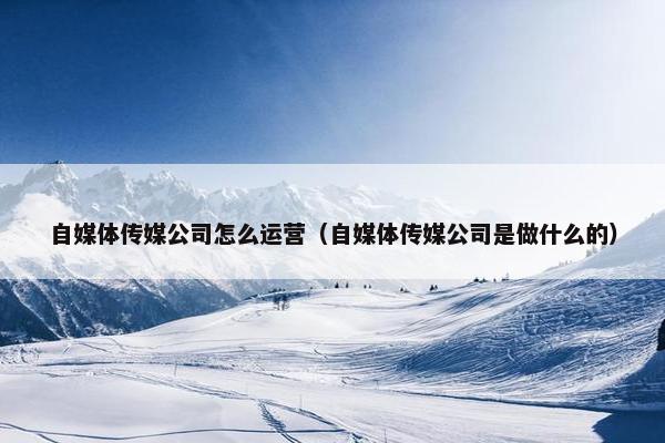 自媒体传媒公司怎么运营（自媒体传媒公司是做什么的）