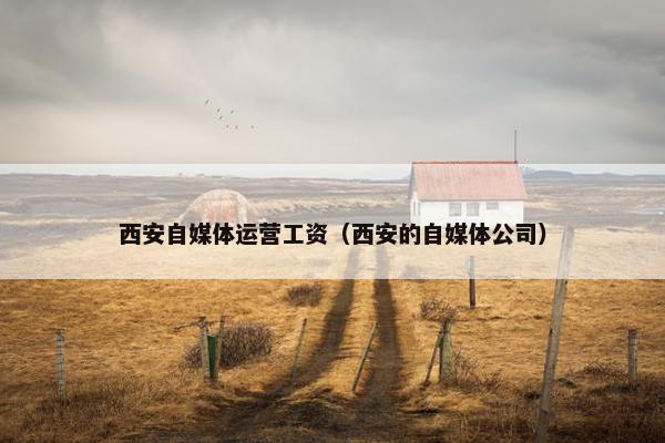 西安自媒体运营工资(西安的自媒体公司)