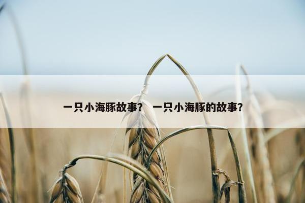 一只小海豚故事? 一只小海豚的故事?