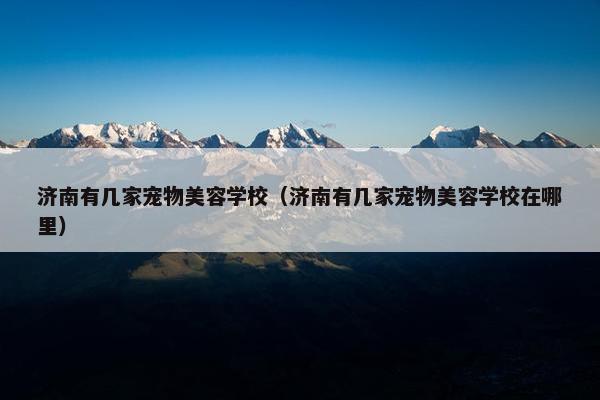 济南有几家宠物美容学校（济南有几家宠物美容学校在哪里）