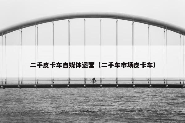 二手皮卡车自媒体运营（二手车市场皮卡车）