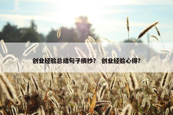 创业经验总结句子摘抄？ 创业经验心得？