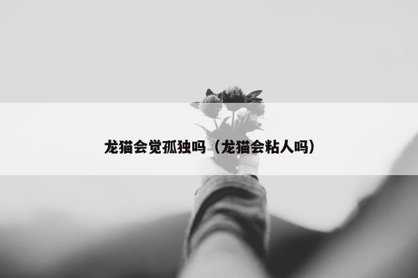 龙猫会觉孤独吗（龙猫会粘人吗）