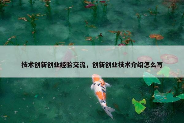 技术创新创业经验交流，创新创业技术介绍怎么写