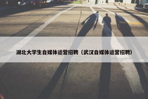 湖北大学生自媒体运营招聘（武汉自媒体运营招聘）