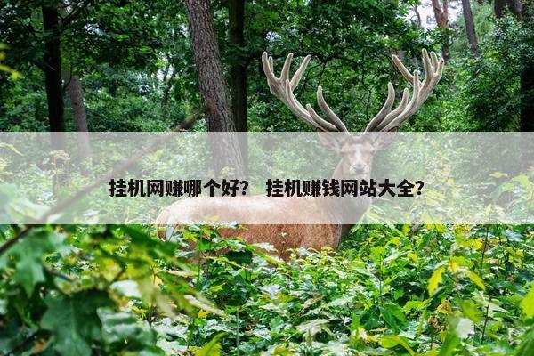 挂机网赚哪个好？ 挂机赚钱网站大全？