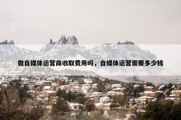 做自媒体运营商收取费用吗，自媒体运营需要多少钱