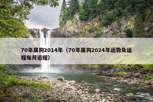 70年属狗2014年（70年属狗2024年运势及运程每月运程）