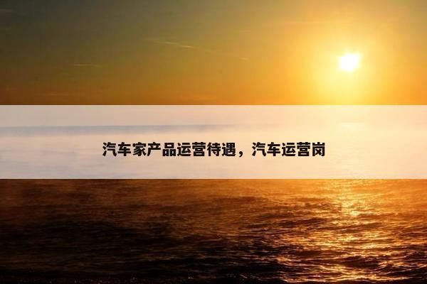 汽车家产品运营待遇，汽车运营岗