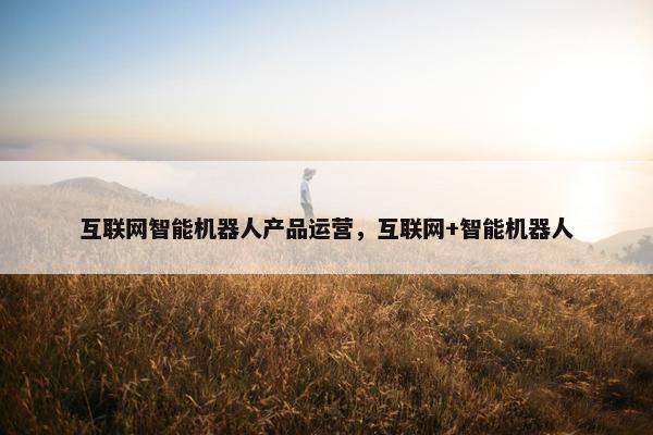 互联网智能机器人产品运营，互联网+智能机器人