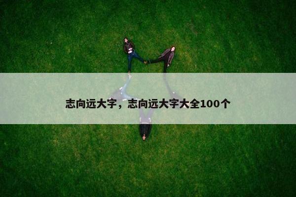 志向远大字,志向远大字大全100个