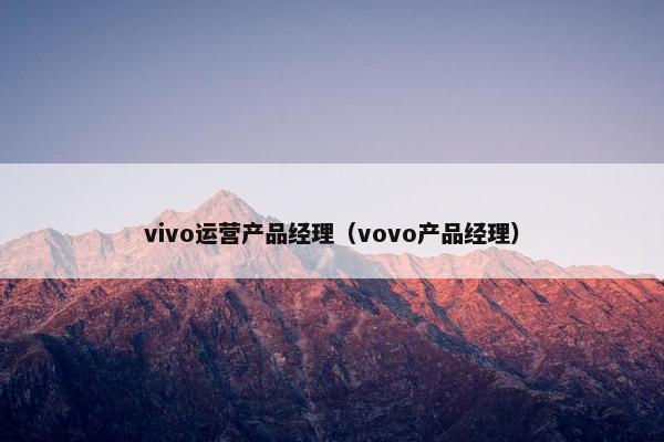 vivo运营产品经理（vovo产品经理）