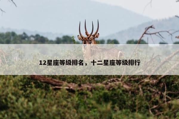 12星座等级排名，十二星座等级排行
