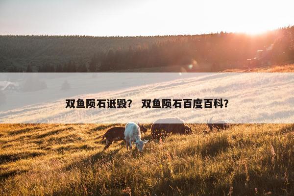 双鱼陨石诋毁？ 双鱼陨石百度百科？
