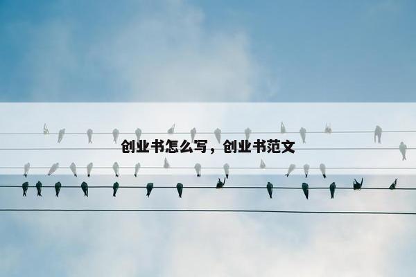 创业书怎么写，创业书范文