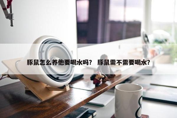 豚鼠怎么养他要喝水吗? 豚鼠需不需要喝水?