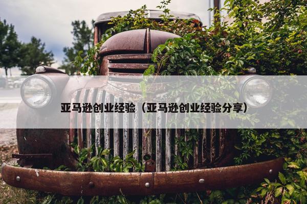 亚马逊创业经验（亚马逊创业经验分享）