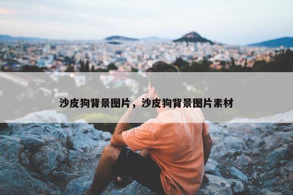 沙皮狗背景图片，沙皮狗背景图片素材