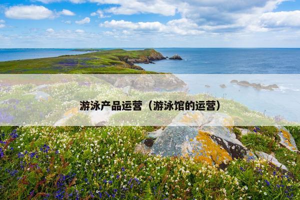 游泳产品运营(游泳馆的运营) 游泳产品运营(游泳馆的运营)