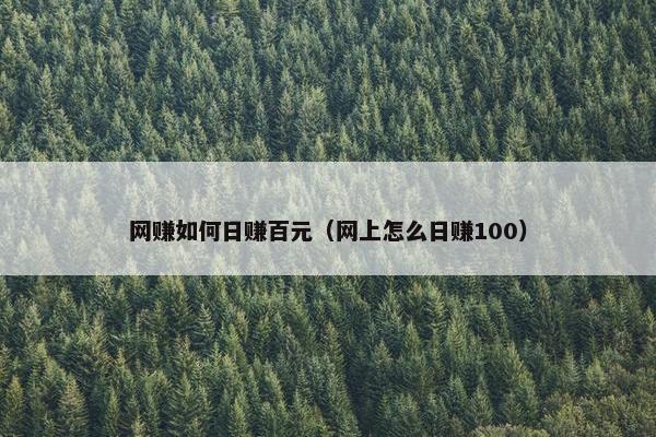 网赚如何日赚百元（网上怎么日赚100）