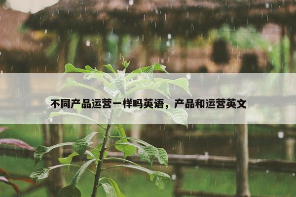 不同产品运营一样吗英语，产品和运营英文