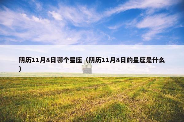 阴历11月8日哪个星座（阴历11月8日的星座是什么）
