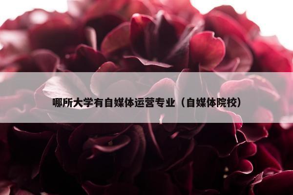 哪所大学有自媒体运营专业（自媒体院校）