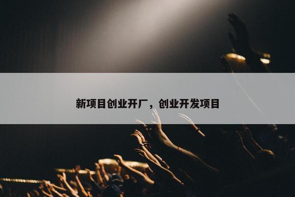 新项目创业开厂,创业开发项目