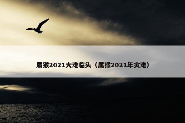 属猴2021大难临头（属猴2021年灾难）
