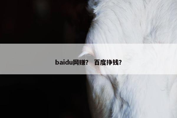 baidu网赚？ 百度挣钱？
