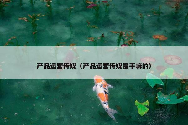 产品运营传媒（产品运营传媒是干嘛的）