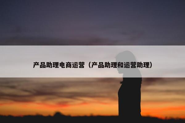 产品助理电商运营(产品助理和运营助理) 产品助理电商运营(产品助理和运营助理)