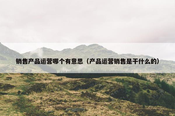 销售产品运营哪个有意思（产品运营销售是干什么的）