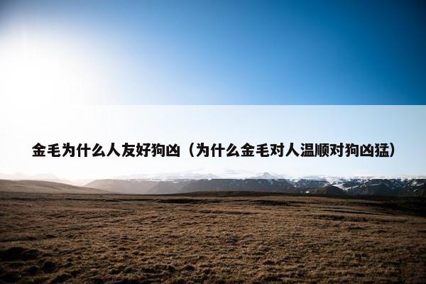 金毛为什么人友好狗凶（为什么金毛对人温顺对狗凶猛）