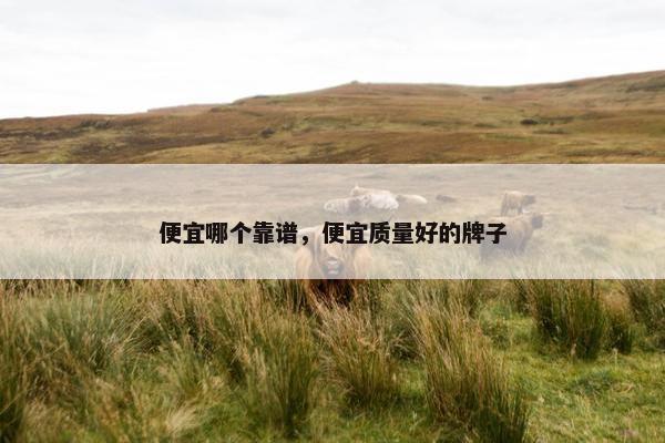 便宜哪个靠谱，便宜质量好的牌子