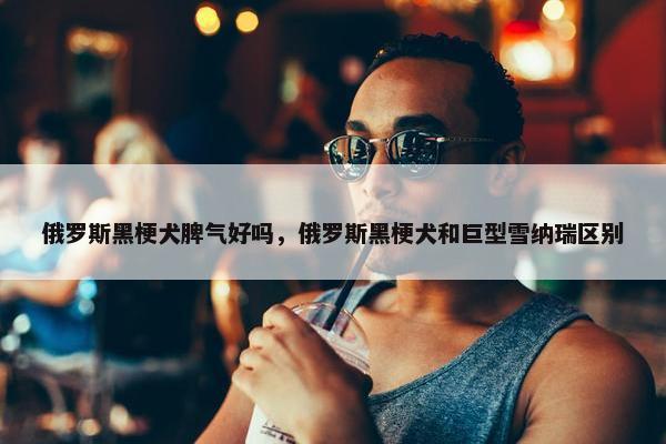 俄罗斯黑梗犬脾气好吗，俄罗斯黑梗犬和巨型雪纳瑞区别