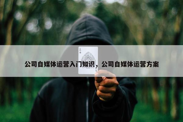 公司自媒体运营入门知识，公司自媒体运营方案