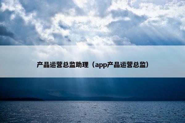 产品运营总监助理（app产品运营总监）