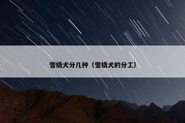 雪橇犬分几种（雪橇犬的分工）