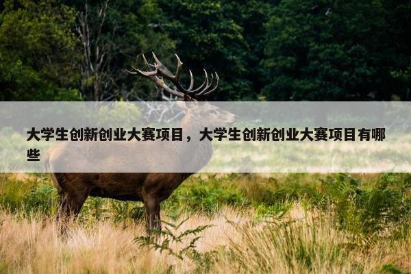 大学生创新创业大赛项目，大学生创新创业大赛项目有哪些