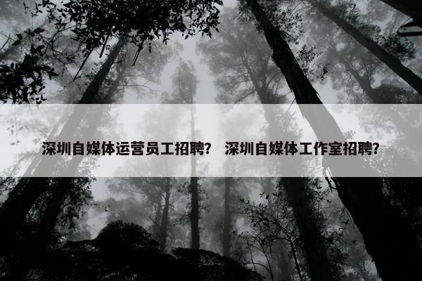 深圳自媒体运营员工招聘? 深圳自媒体工作室招聘?