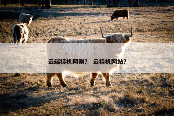 云端挂机网赚? 云挂机网站? 云端挂机网赚? 云挂机网站?