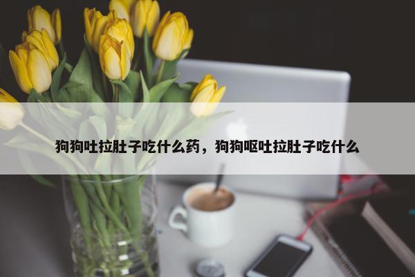 狗狗吐拉肚子吃什么药，狗狗呕吐拉肚子吃什么