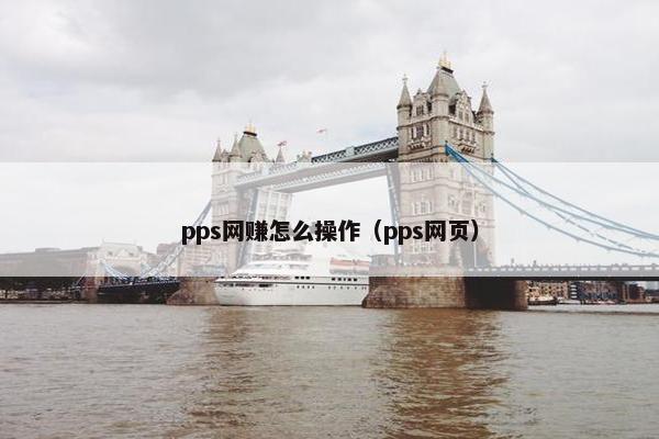 pps网赚怎么操作（pps网页）