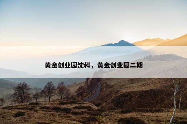 黄金创业园沈科，黄金创业园二期