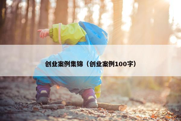 创业案例集锦（创业案例100字）
