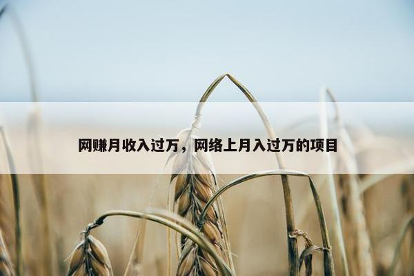 网赚月收入过万，网络上月入过万的项目